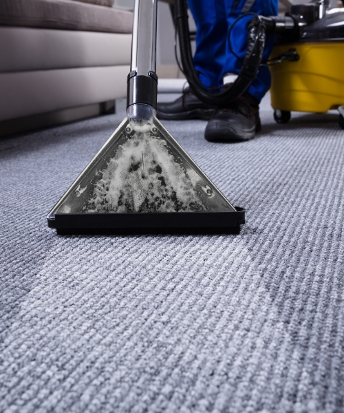 Carpet Cleaning Services in Bakersfield, CA