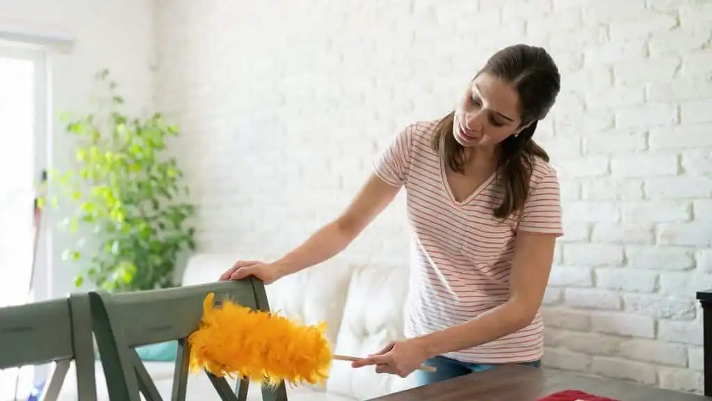 What Should You Clean First After a Dusty Day in Bakersfield?